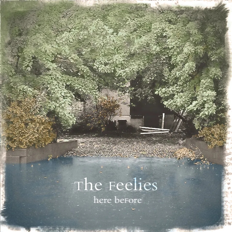 Album artwork for Here Before by The Feelies