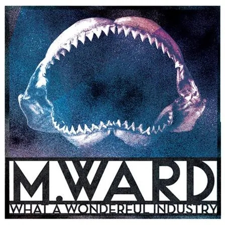 Album artwork for What a Wonderful Industry by M Ward