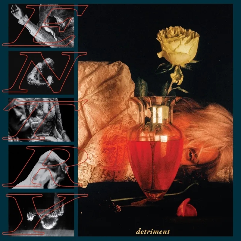 Album artwork for Detriment by Entry