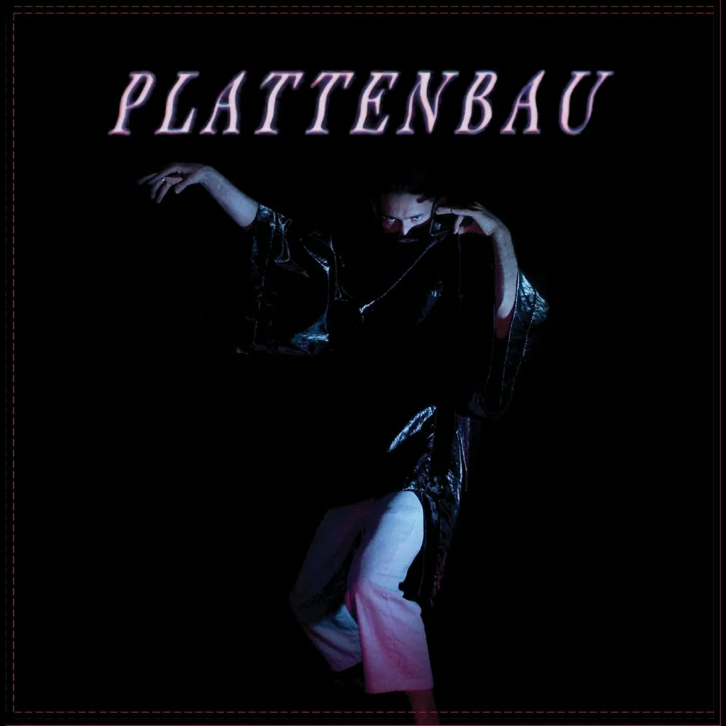 Album artwork for Shape / Shifting by Plattenbau