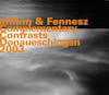 Album artwork for Complementary Contrasts by Fennesz
