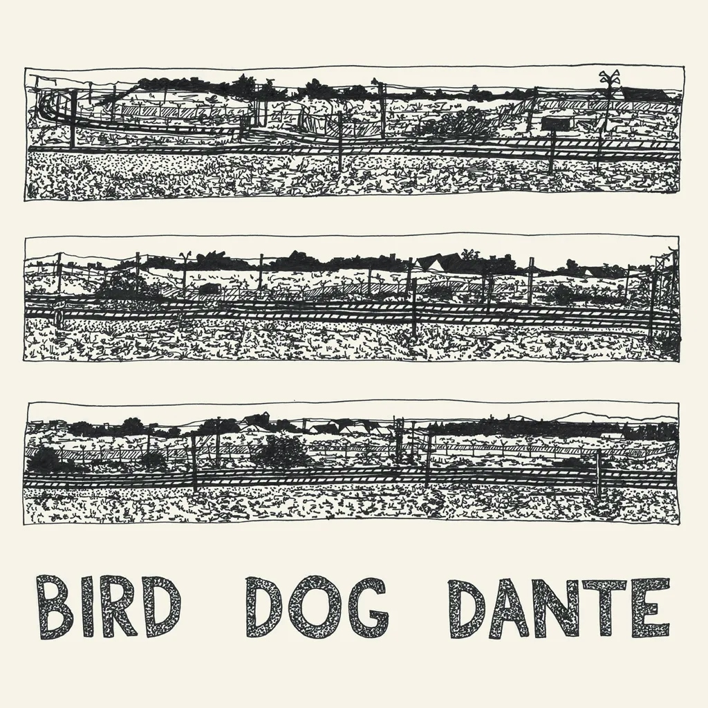 Album artwork for Bird Dog Dante by John Parish
