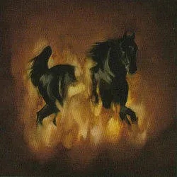 Album artwork for The Besnard Lakes Are The Dark Horse by The Besnard Lakes