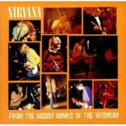 Album artwork for From the Muddy Banks of the Wi by Nirvana
