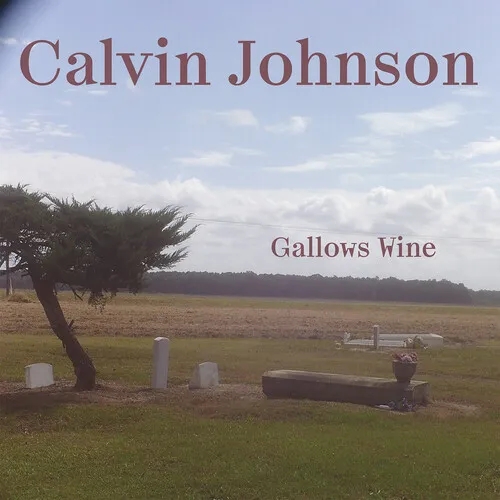 Album artwork for Gallows Wine by Calvin Johnson
