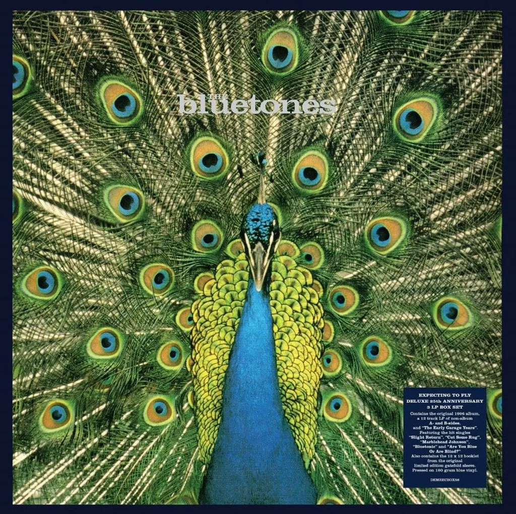 Album artwork for Expecting to Fly - 25th Anniversary Edition by The Bluetones