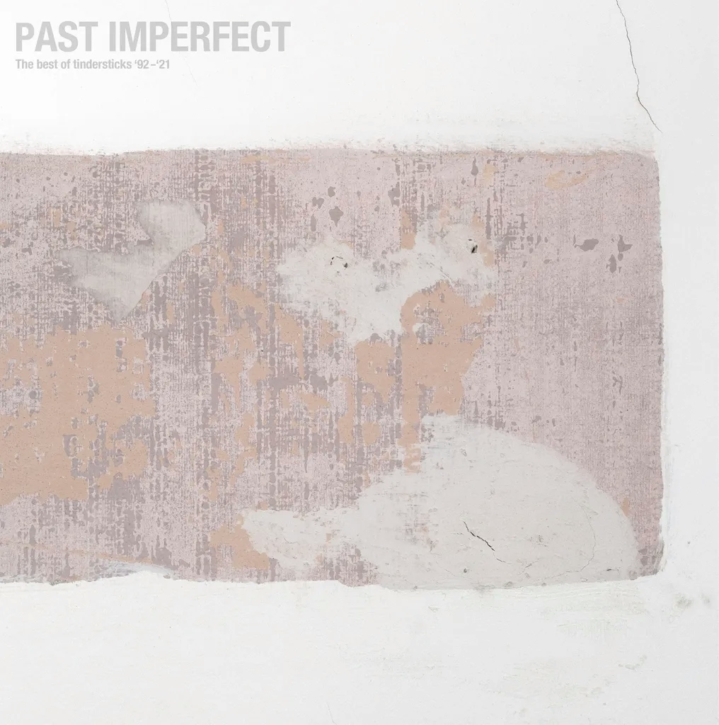 Album artwork for Album artwork for Past Imperfect: The Best of Tindersticks ’92 – ‘21 by Tindersticks by Past Imperfect: The Best of Tindersticks ’92 – ‘21 - Tindersticks