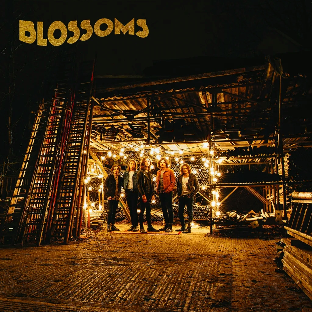 Album artwork for Blossoms by Blossoms