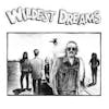 Album artwork for Wildest Dreams by Wildest Dreams