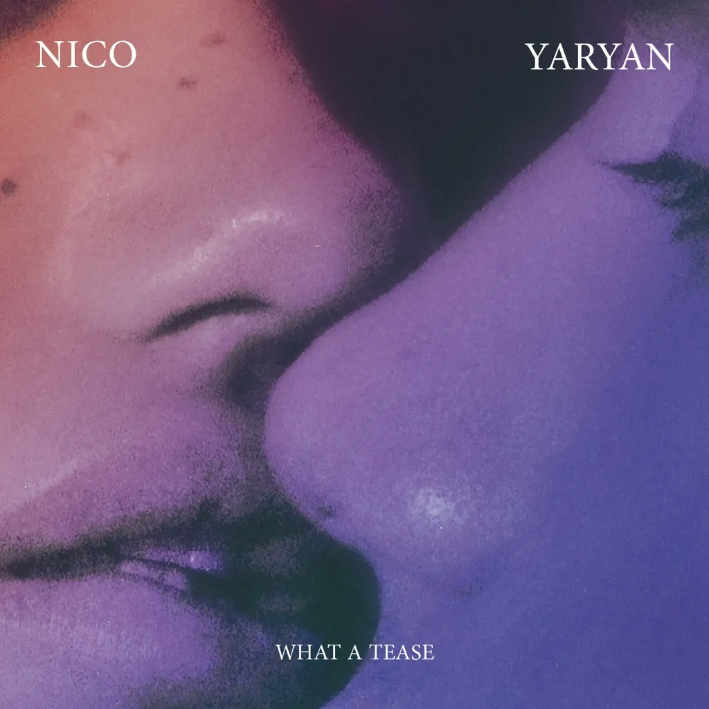 Album artwork for What A Tease by Nico Yaryan