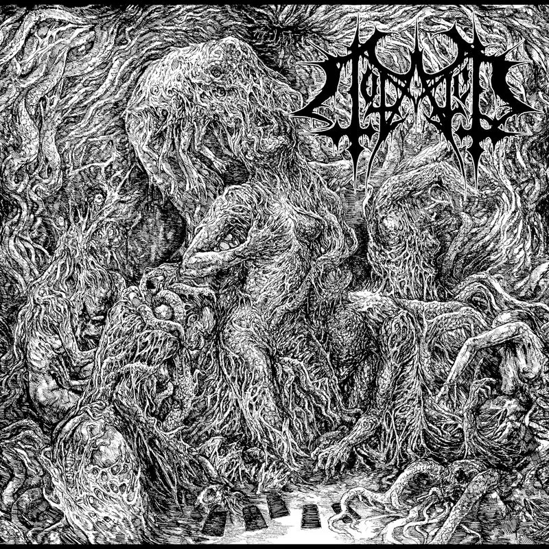 Album artwork for Lament by Totaled