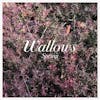 Album artwork for Spring EP by Wallows