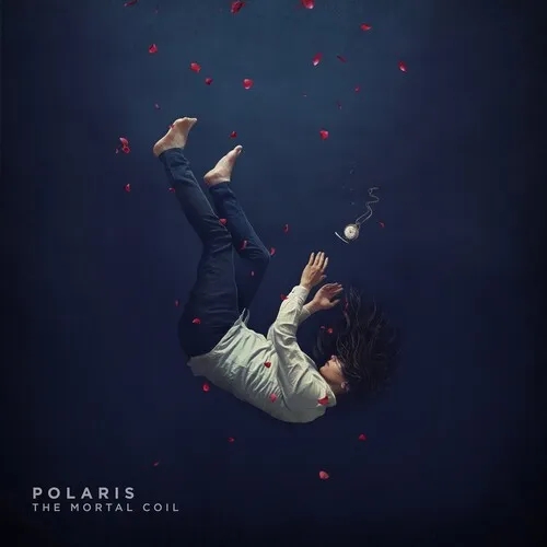 Album artwork for This Mortal Coil by Polaris