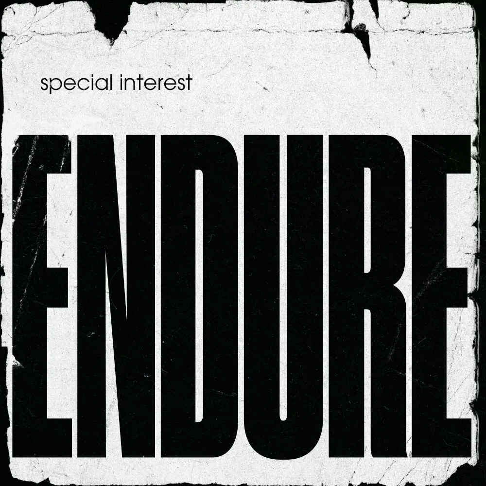Album artwork for Endure by Special Interest