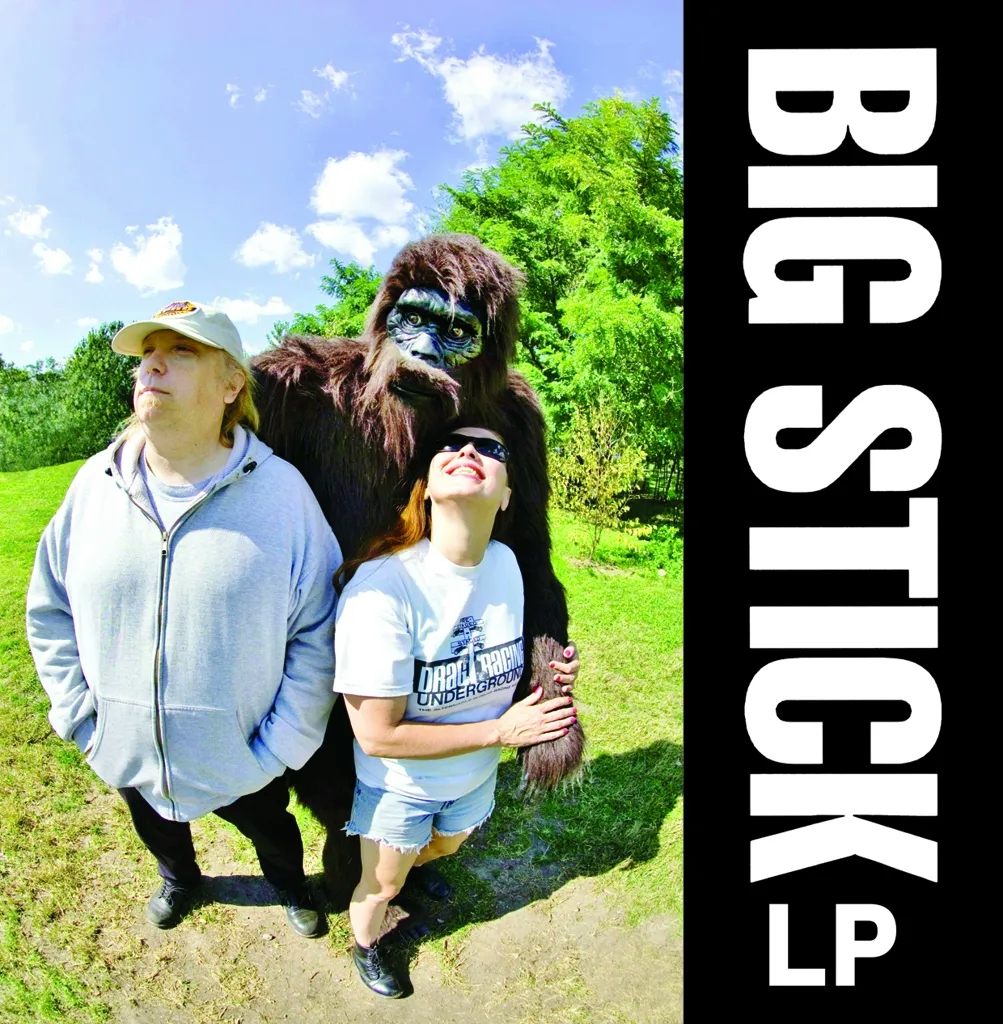 Album artwork for LP by Big Stick