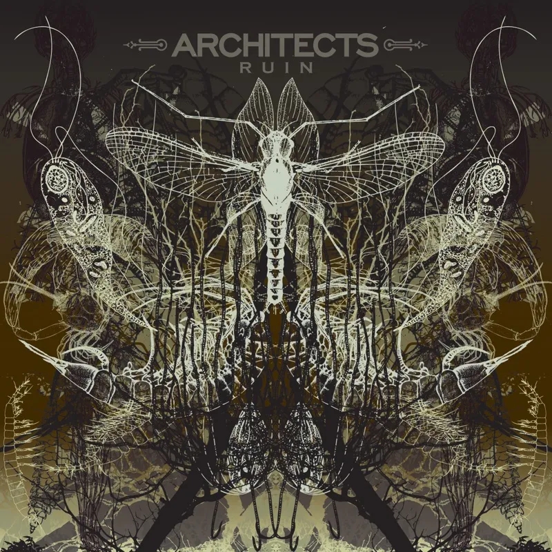 Album artwork for Ruin by Architects