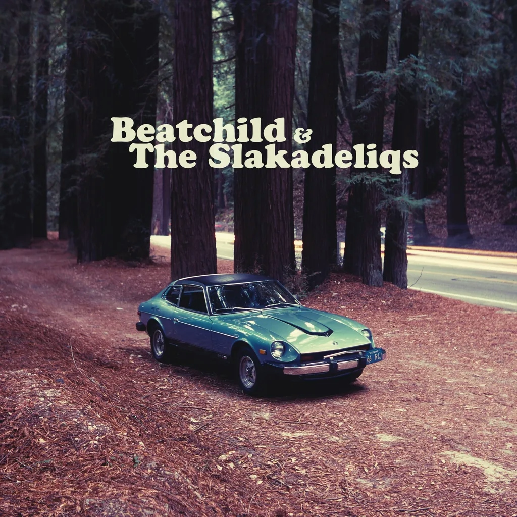 Album artwork for Heavy Rockin' Steady by Beatchild and The Slakadeliqs