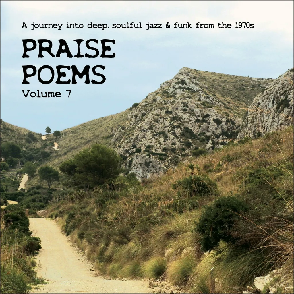 Album artwork for Praise Poems, Vol. 7 by Various Artists