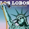 Album artwork for Disconnected In New York city by Los Lobos