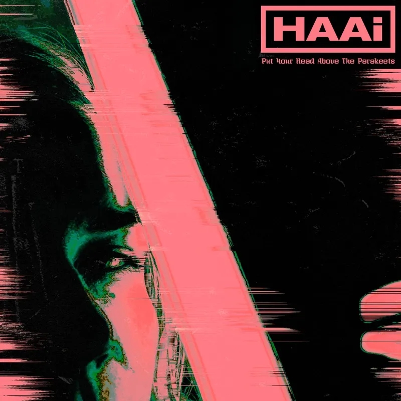 Album artwork for Put Your Head Above the Parakeets by Haai
