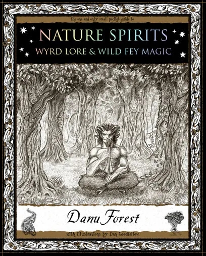 Album artwork for Nature Spirits: Wyld Lore and Wild Fey Magic by Danu Forest