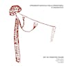 Album artwork for Strumenti Musicali Della Preistoria: Ii Paleolitico by Art of Primitive Sound