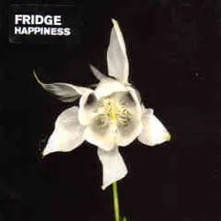 Album artwork for Happiness by Fridge