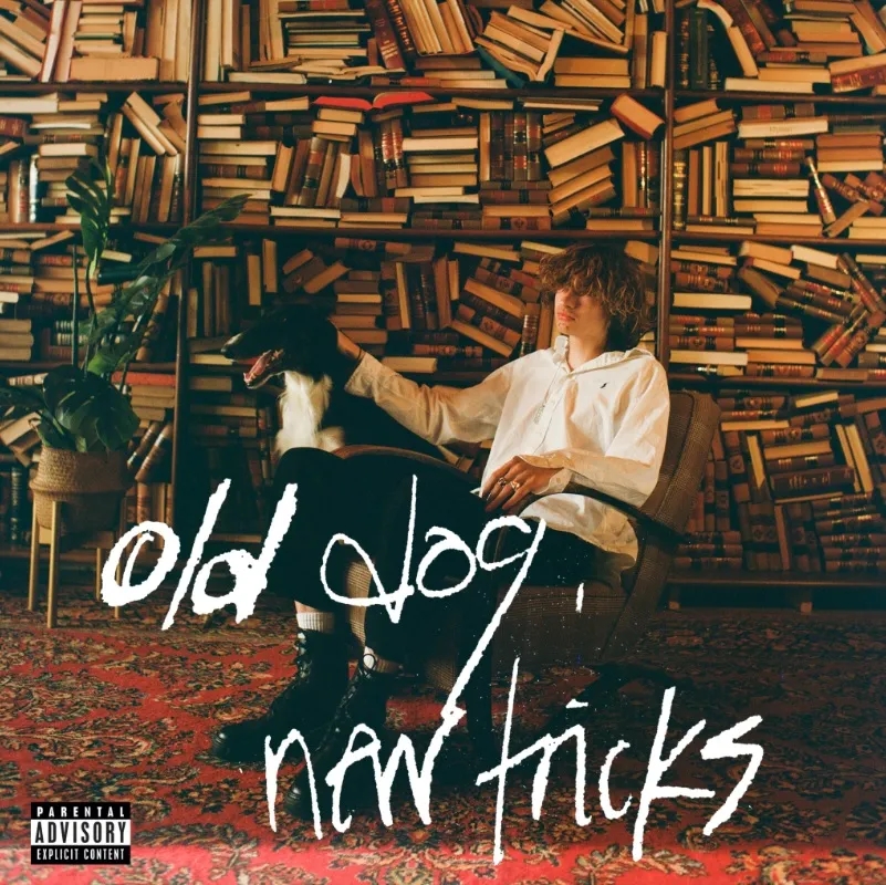 Album artwork for old dog, new tricks by Glaive