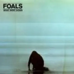 Album artwork for Album artwork for What Went Down by Foals by What Went Down - Foals