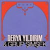 Album artwork for Dost 1 by Derya Yildirim and Grup Simsek