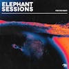 Album artwork for For the Night by Elephant Sessions