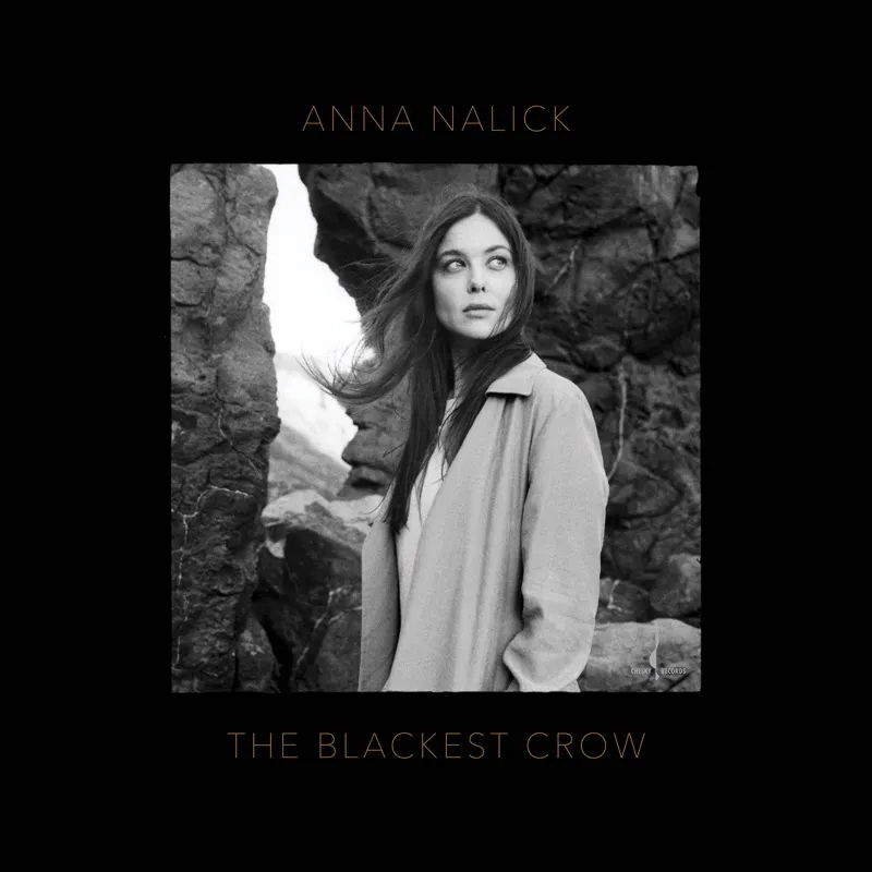 Album artwork for The Blackest Crow by Anna Nalick