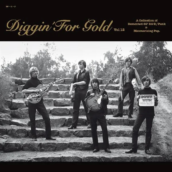 Album artwork for Diggin' For Gold Vol. 12 by Various Artists