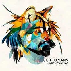 Album artwork for Magical Thinking by Chico Mann