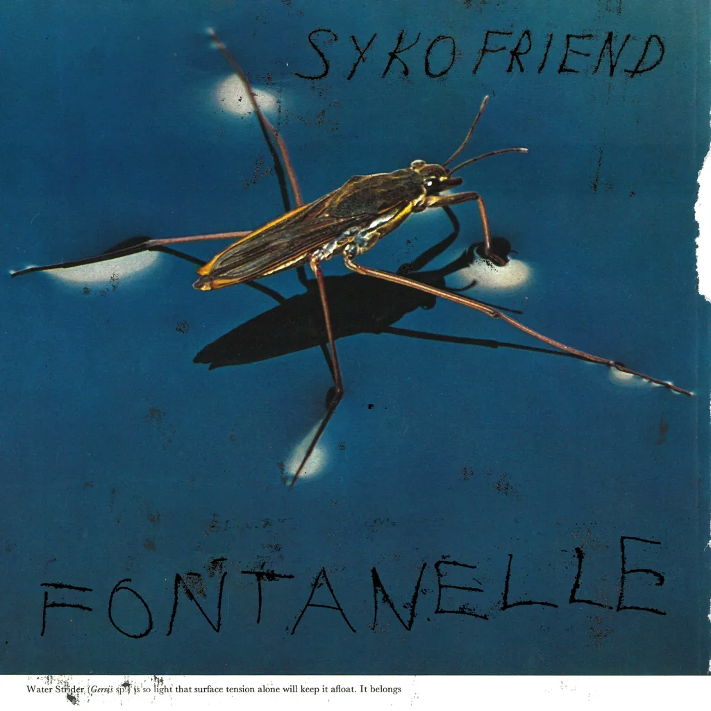Album artwork for Fontanelle by Syko Friend