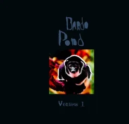 Album artwork for Volume 1 by Bardo Pond