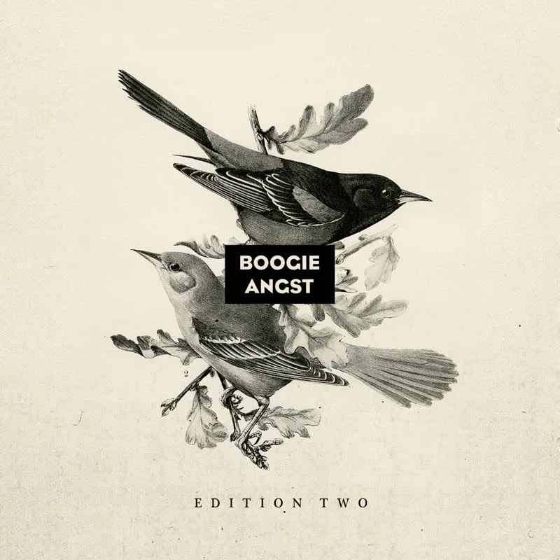 Album artwork for Boogie Angst - Edition 2 by Various