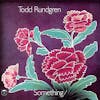 Album artwork for Something / Anything (50th Anniversary Edition) (RSD Black Friday 2022) by Todd Rundgren