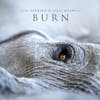 Album artwork for Burn by Lisa Gerrard and Jules Maxwell