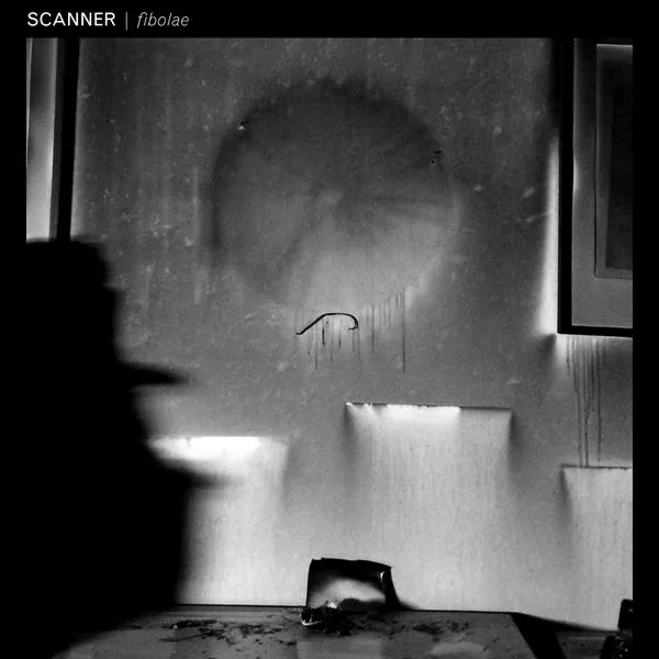 Album artwork for Fibolae by Scanner