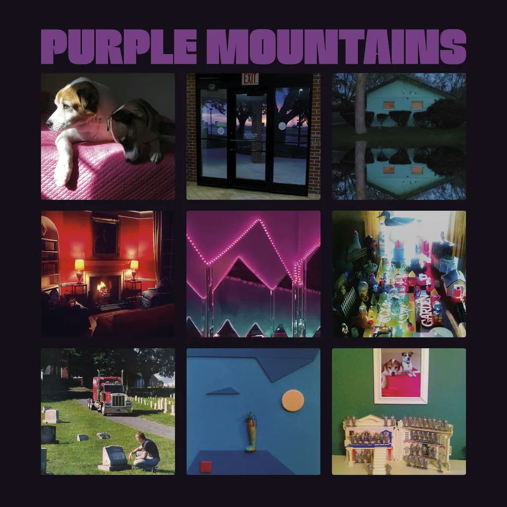 Album artwork for Purple Mountains by Purple Mountains