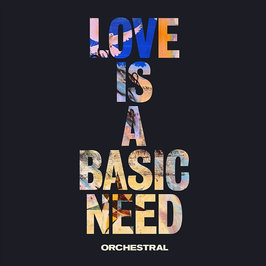 Album artwork for Love Is A Basic Need (Orchestral) by Embrace