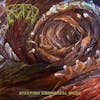 Album artwork for Steeping Corporeal Mess by Fetid