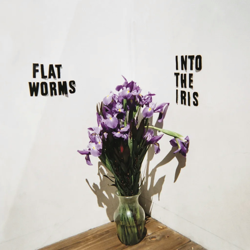 Album artwork for Into The Iris by Flat Worms