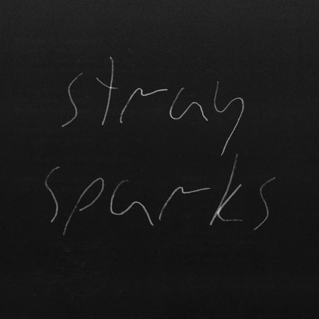 Album artwork for Stray Sparks by The Goodbye Party