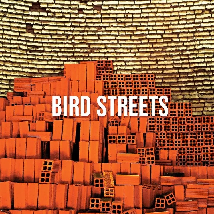 Album artwork for Bird Streets by Bird Streets