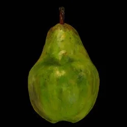 Album artwork for Pear by Danny James