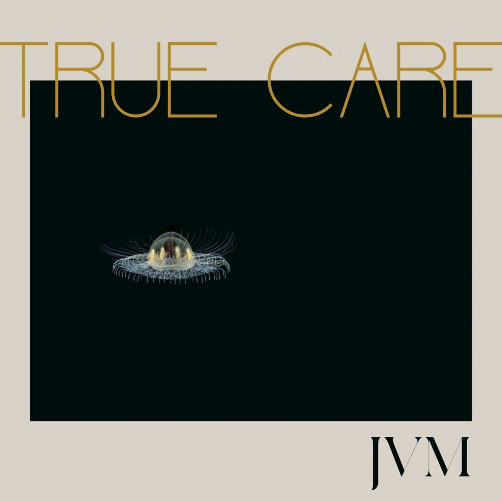 Album artwork for True Care by James Vincent McMorrow