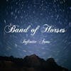 Album artwork for Infinite Arms by Band Of Horses