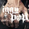 Album artwork for Skull Ring by Iggy Pop